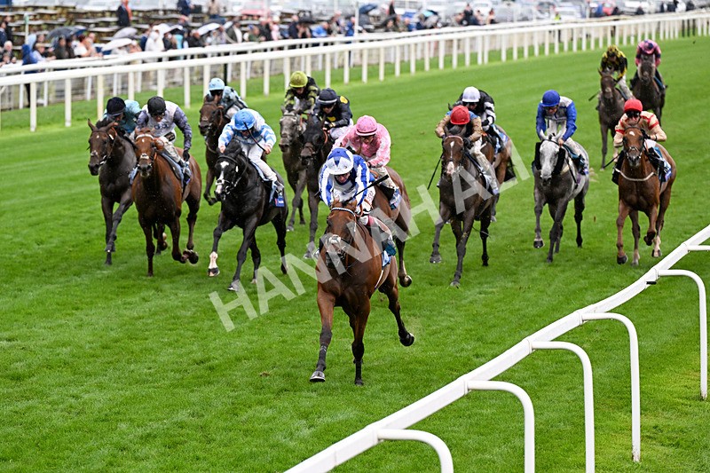 200826-Race 3-The Lost King-0436 - Race 3 15.00pm Sir Kevin Sinfield 7 In 7 Grand Finale Handicap