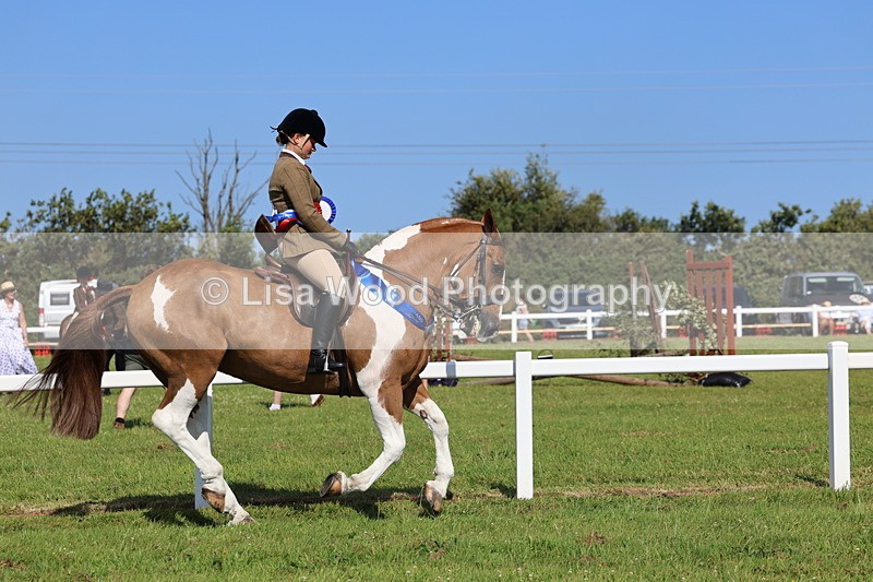 IMG_1698 - Skewbald and Piebald Ridden Championship