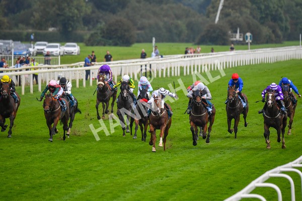 100923-Race 7-Looking For Lynda-1217 - Race 7 4.55pm Brian Taylor 50 Not Out Apprentice Handicap