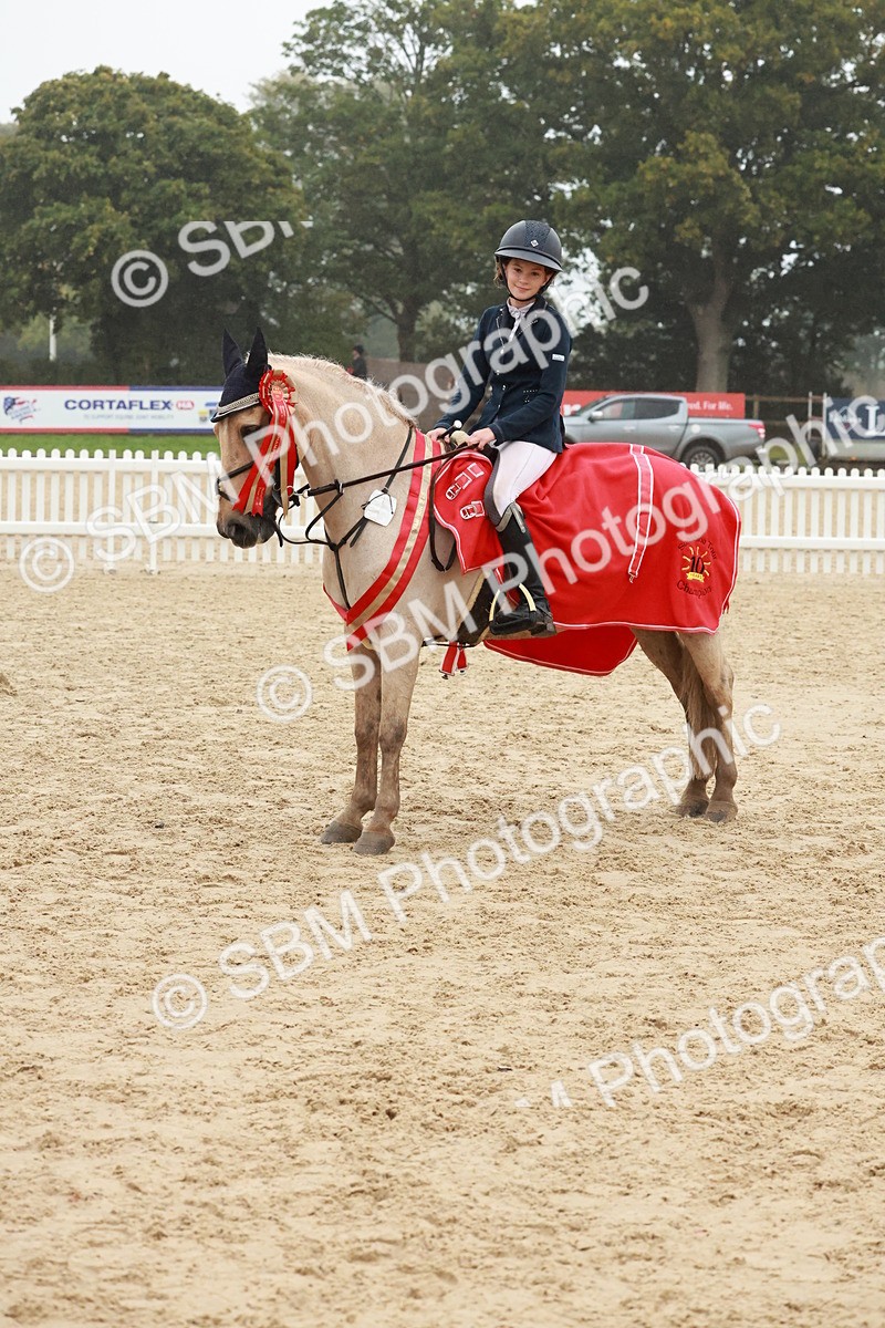 SBM_73534 - Supreme Championship Junior Pony 60cm & 65cm