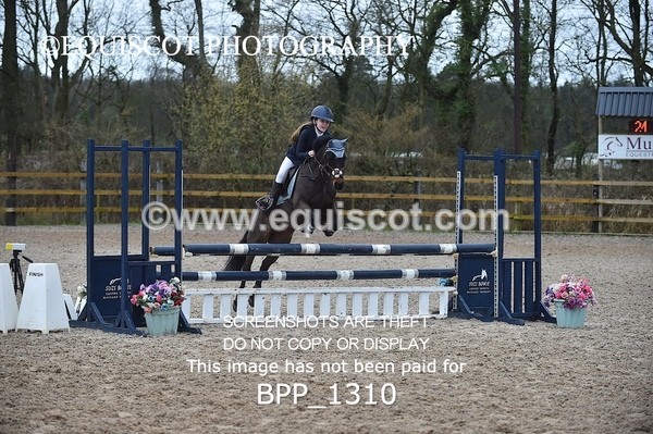 BPP_1310 - CLASS 5 Pony BritiNovice / 0.80m Open