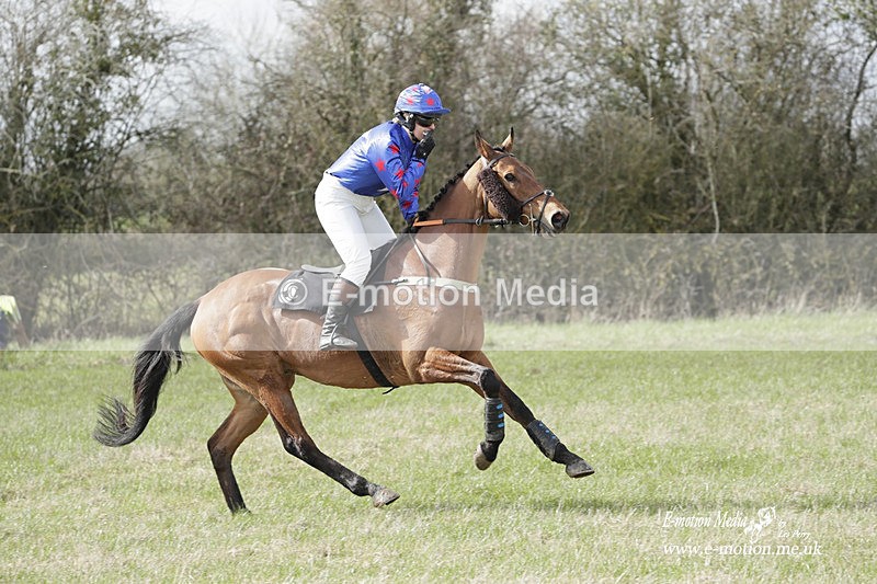 PtP 180323 289 - Shelfield Park Races with Croome & West Warwickshire Hunt  18/03/23