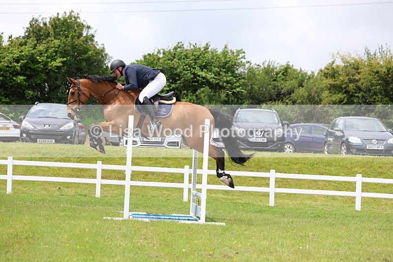 3E7A7062 - Class 12: Senior Foxhunter/1.20 open