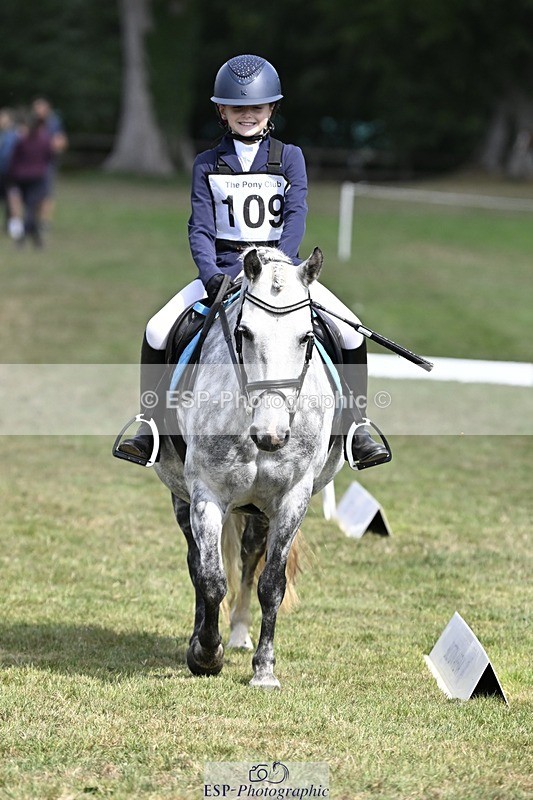 250821A-115145-15356 - DR 11.00 to 12.00