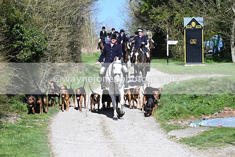 WJ7_9649 - Home for hunt tea !