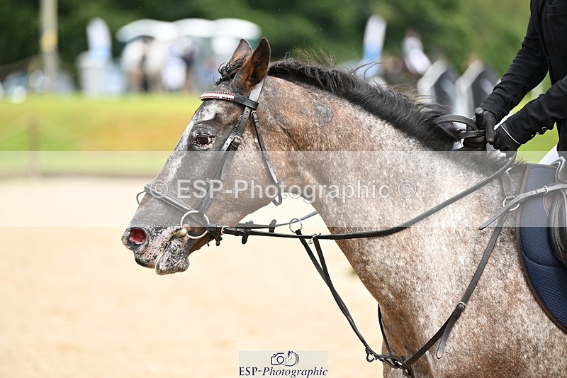 240824X-105428-24997 - 70cm Round 2 10.30 to 12.10