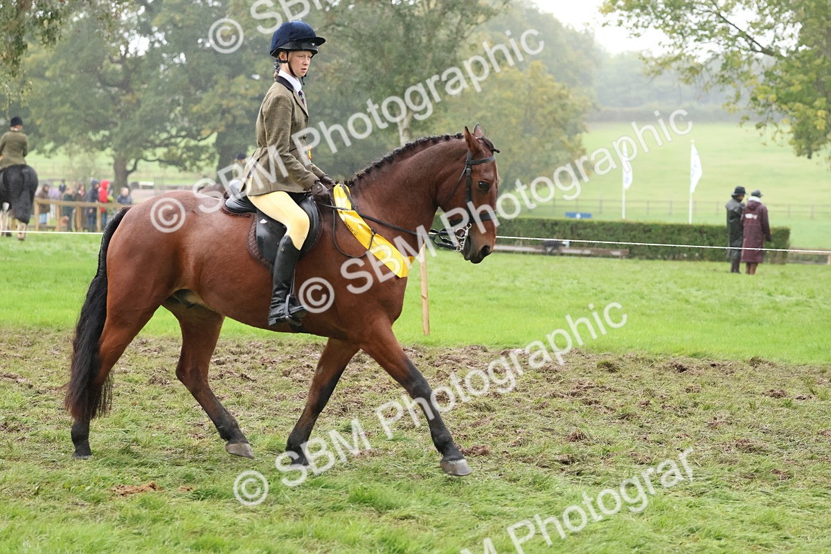 SBM_73112 - Ridden Pony Supreme Championship