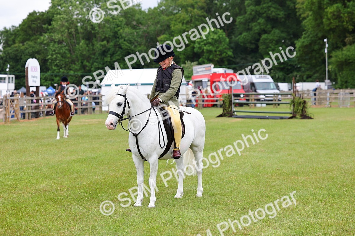 SBM_08762 - Class 42-43 - LIHS BSPS Heritage Working Sports Pony