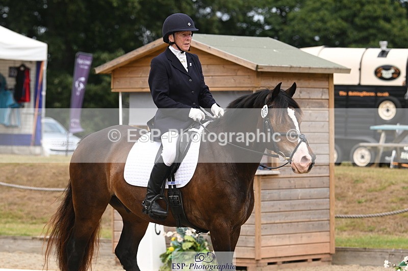 250720A-120215-10141 - 079-Amanda.Williams-Llanarth.Westminster