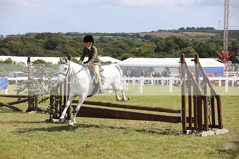 JPP_2120 - Class 19: Working Hunter 60cm