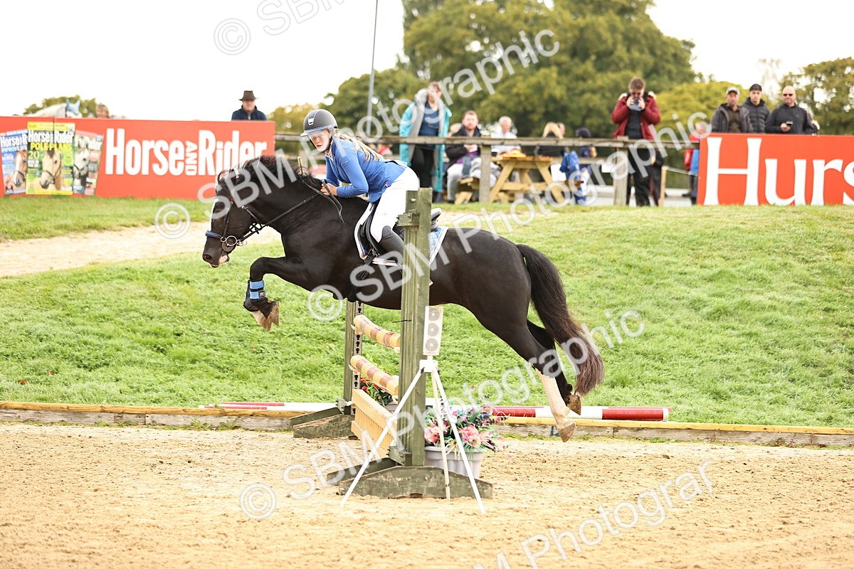 SBM_58263 - J41 - Grand Tour Horse & Pony 95cm