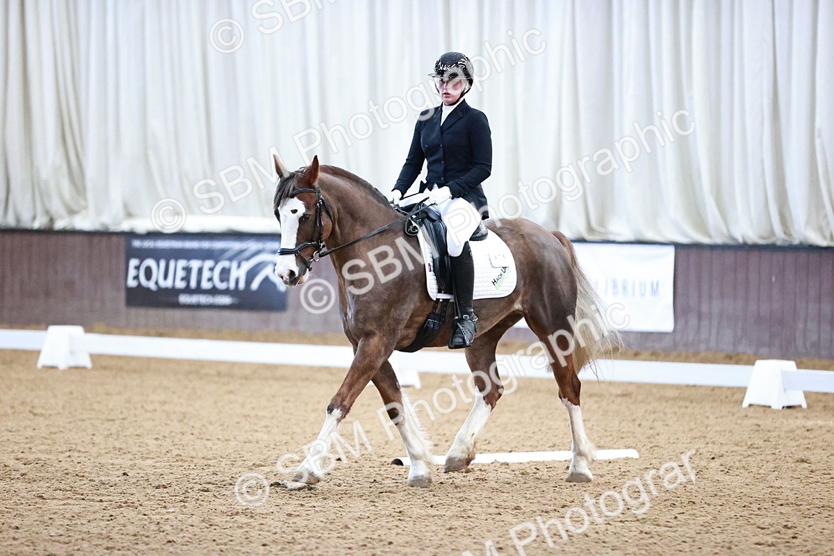 SBM_000151 - Class 3, 4, 8, 10 Intro 3 Prelim 3 Novice 2