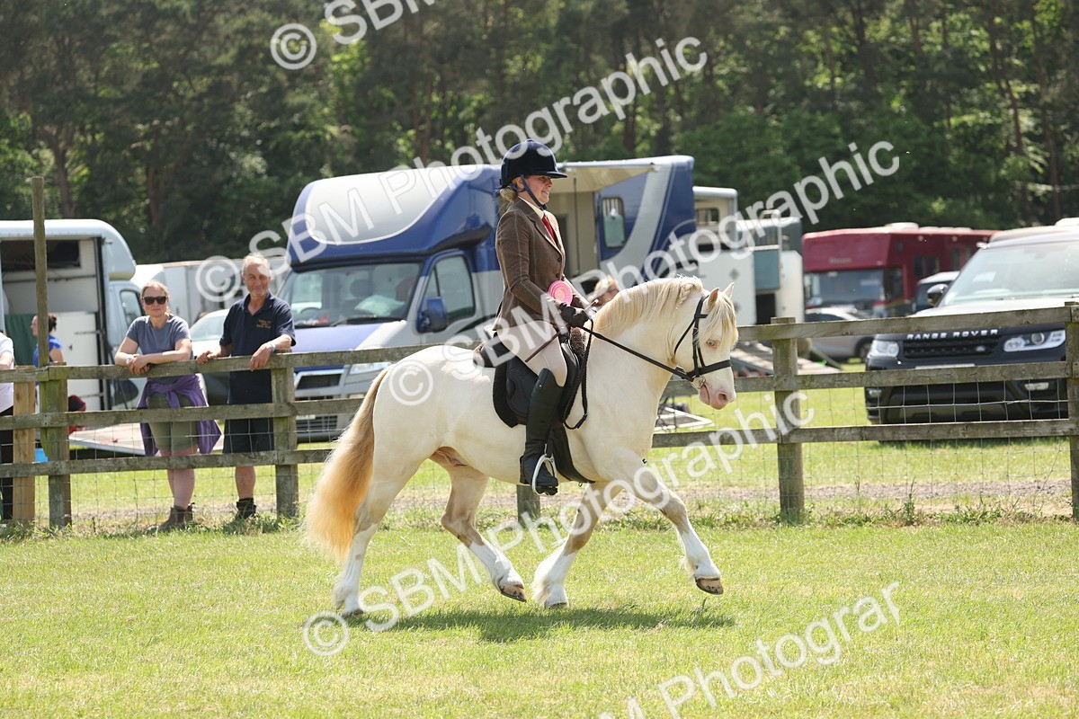 SBM_07018 - Class 26-30 - Mountain and Moorland Ridden