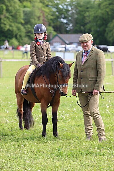 IMG_2219 - Working Hunter