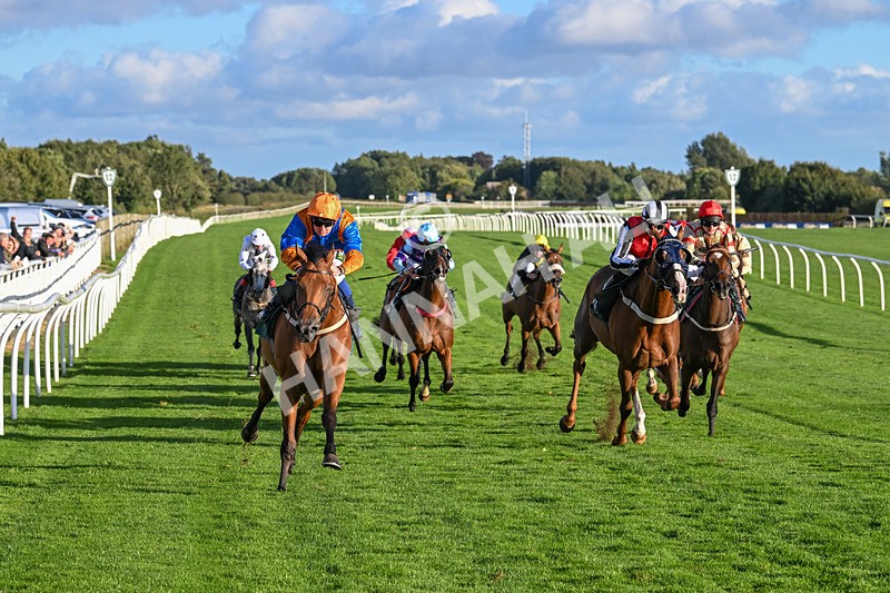 100924-Race 8-Homer Stokes-0869 - Race 8