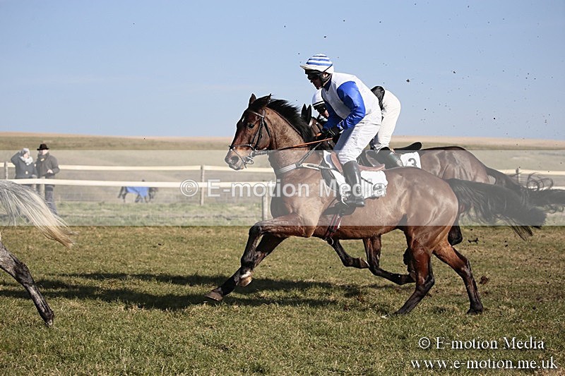 PtP 240218 364 - Vine & Craven Hunt Point-to-Point Barbury racecourse 24/02/18