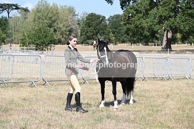 WJ6_5015 - Class 17 Mountain & Moorland