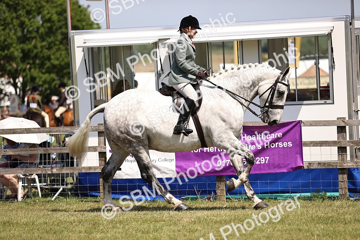 SBM_16106 - Class 79-80 - LIHS BSHA Rising Star Ridden Hunter