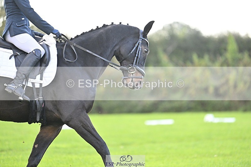 241025-094150-05595 - 353-Cheryl.Beer-LANGALLER.ALPHA.BRAVO