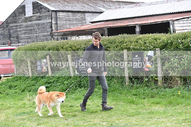 WJ5_9970 - Class 5 Best Veteran / 7 years & over