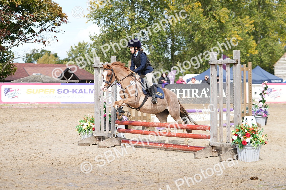 SBM_40748 - Supreme Championship Pony 50-55cm