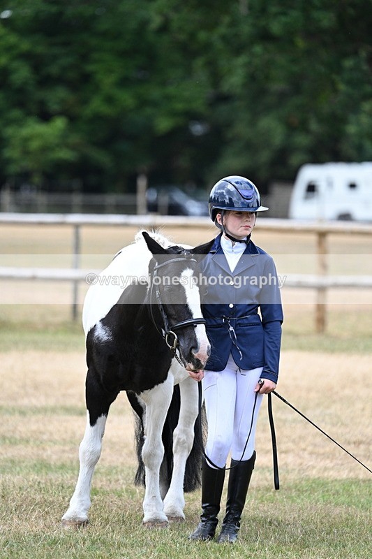 WJ7_1490 - Class 4 Prettiest Mare up to 14.2hh in hand