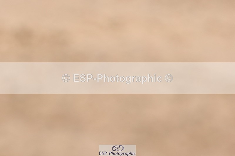 240706A-121109-01815 - Cls 2C Snr Prelim 14