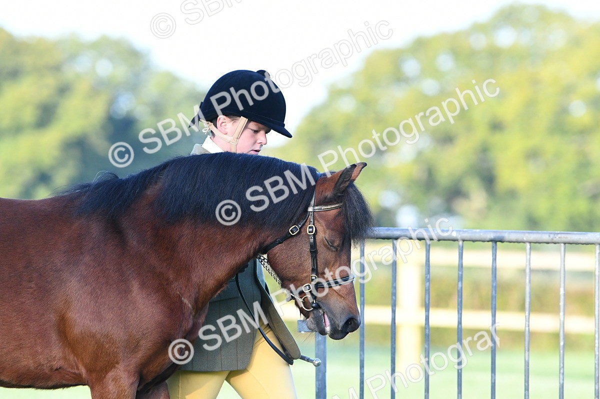 SBM_32418 - S15 - Condition & Turnout In Hand
