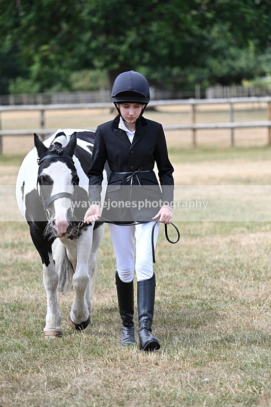 WJ7_1691 - Class 4 Prettiest Mare up to 14.2hh in hand