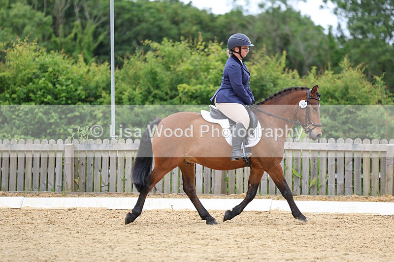 3E7A9527 - Class 2: Intro 1 2024 Section B