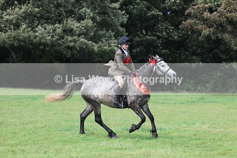 3E7A6197 - Working Hunter Championship