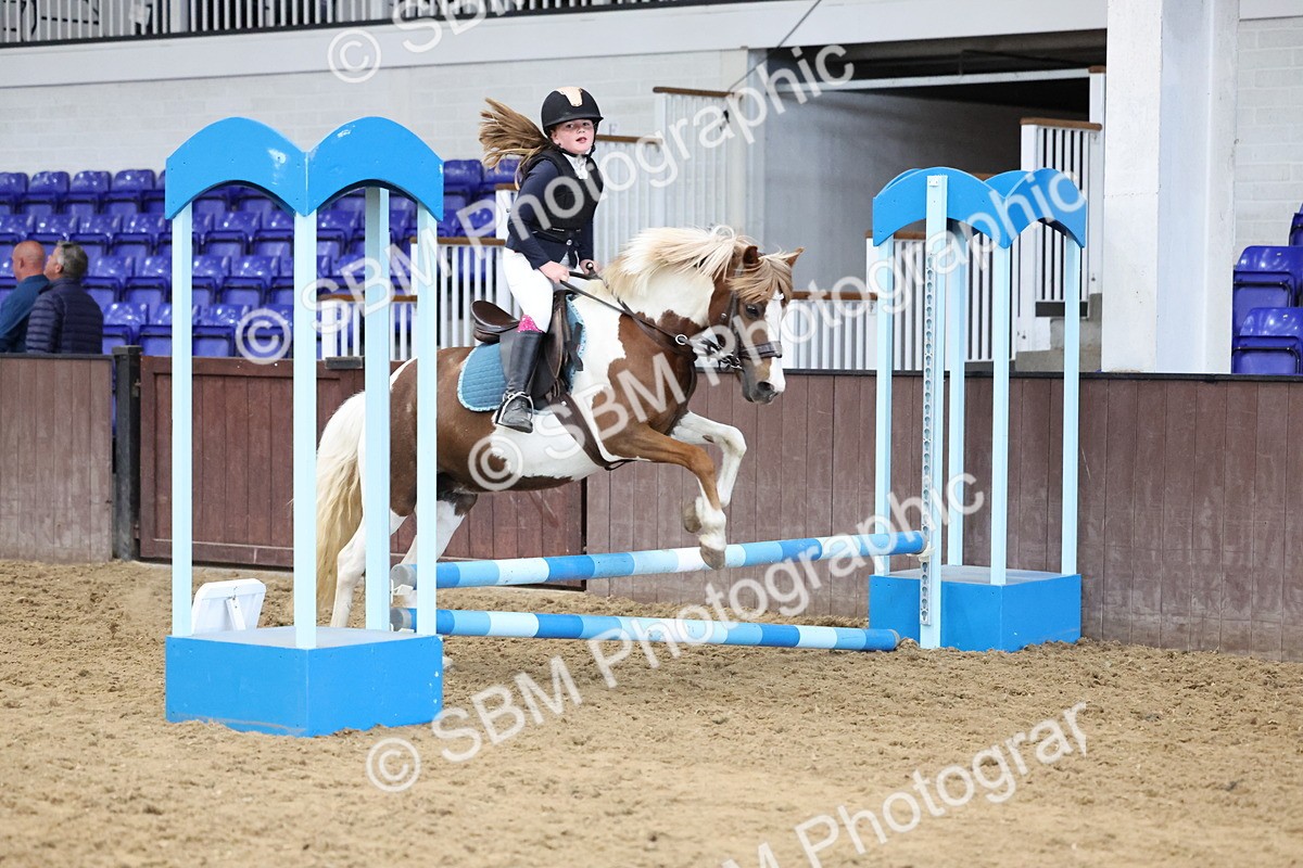SBM_007426 - Class 2 - 50cm showjumping