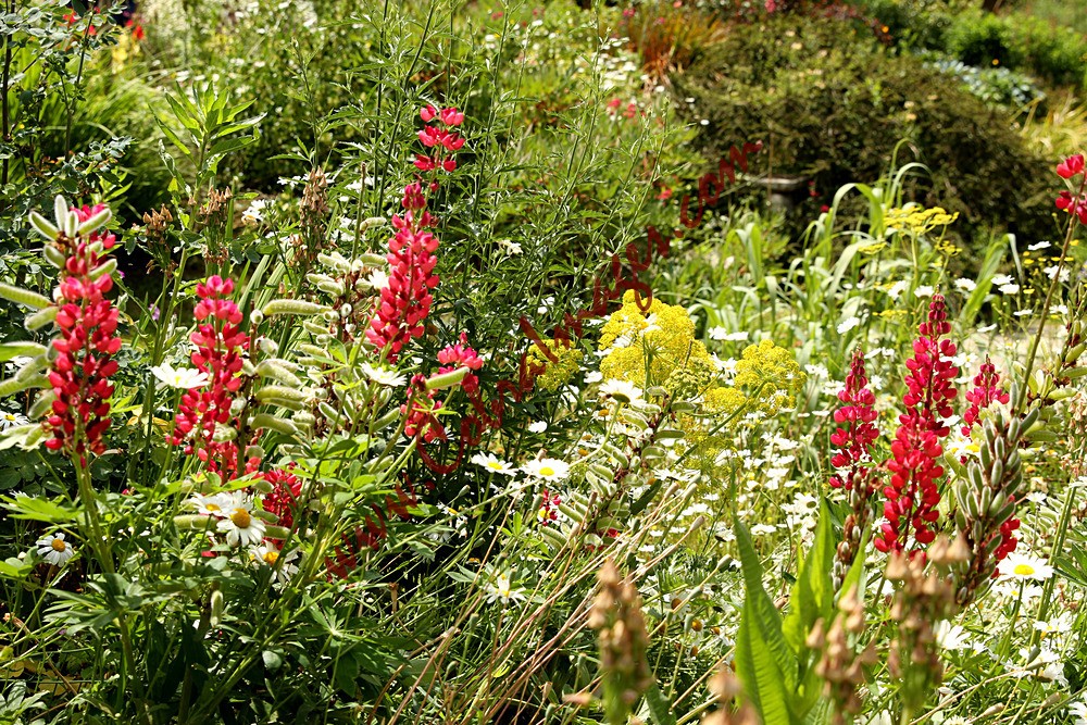 IMG_0006 - Great Dixter - Reopening Day after Lockdown