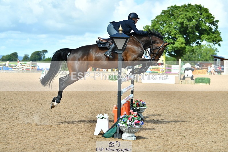 230811A-115501-04038 - Cls 20 Snr Fox