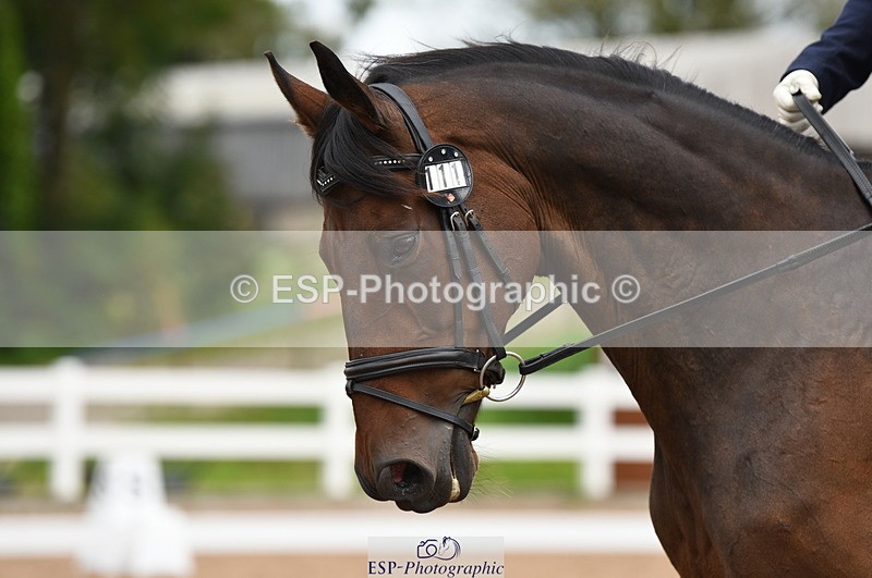 230912A-123720-00862 - Cls 8 Elementary 59