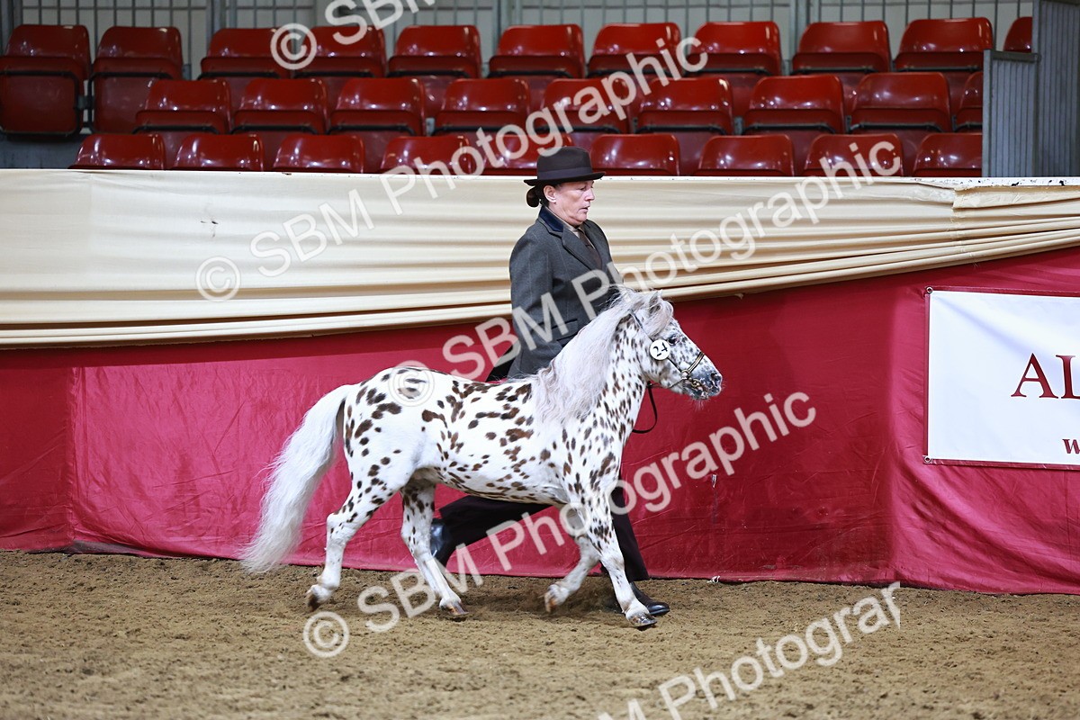 SBM_22230 - Class 902 - Supreme Final - IH Diamond