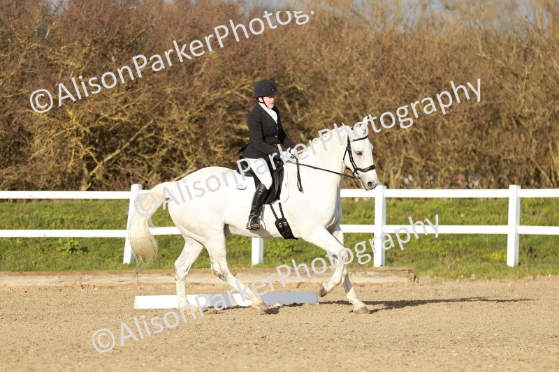 20260314-6274 - CT7 - Elementary 2