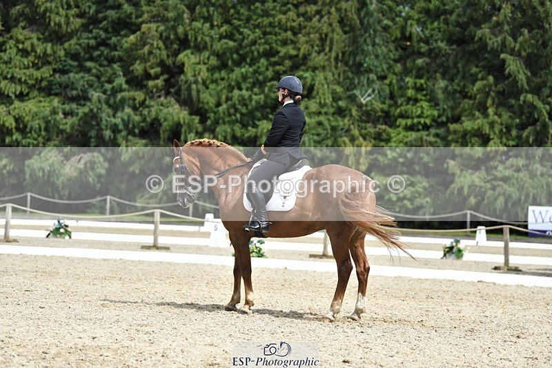 230812-142004-04675 - Cls 7 FEI PSG Bronze