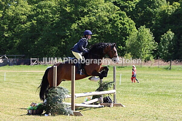 IMG_4046 - Working Hunter