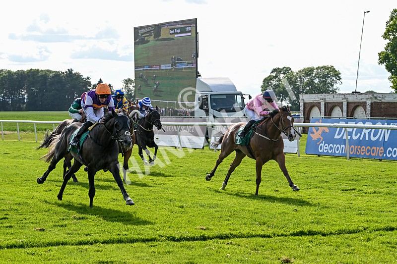 060625-Race 8-Arabian Cobra-5702 - Race 8