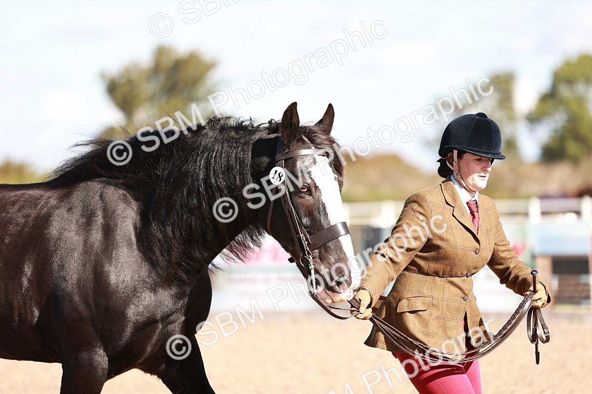 SBM_12615 - Class 404 - IH Traditional - Native Cob