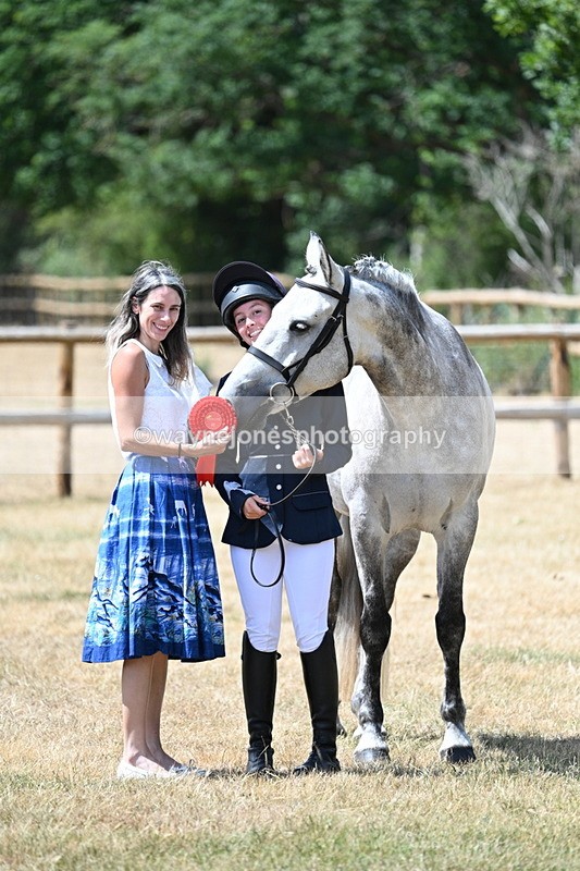 WJ7_2022 - Class 4a Prettiest Mare 14.2hh and over hand