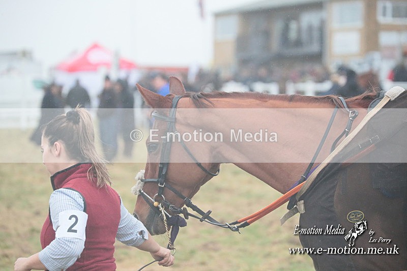 PtP 101223 204 - New Forest Hounds PtP Larkhill 10/12/23