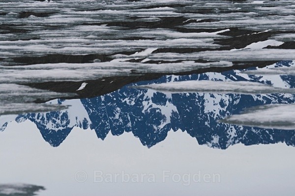 Woodfjorden 8693 - Summer time