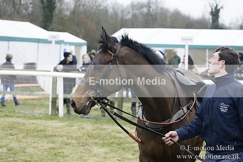 PtP 110318 10 - Hampshire Hunt Point-to-Point Hackwood Park 11/03/18