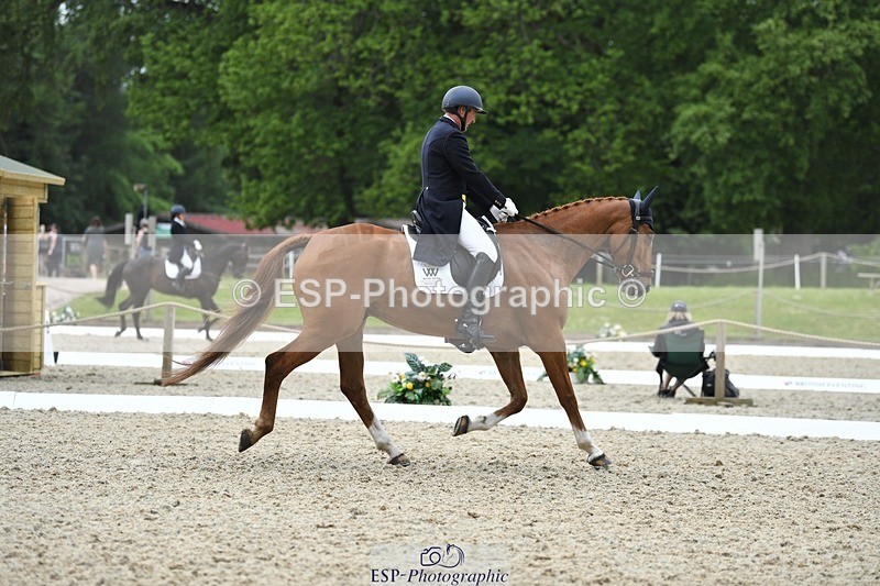 230525-124808-02033 - 111-CREEVAGHSTABLES_IFICUDIWUD-Tim_Cheffings-WEDTrotUp+DR