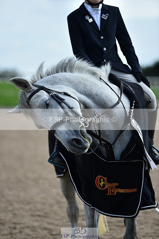 230902A-145118-01842 - Cls 3B Pony Medium 90cm