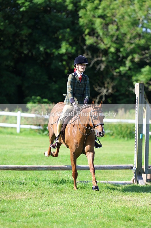 3E7A5906 - Class 27: Novice Working Hunter Pony