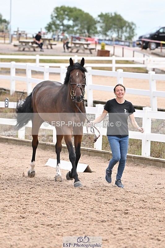 250716-143036-01146 - Trot Up 2.30 to 3.30