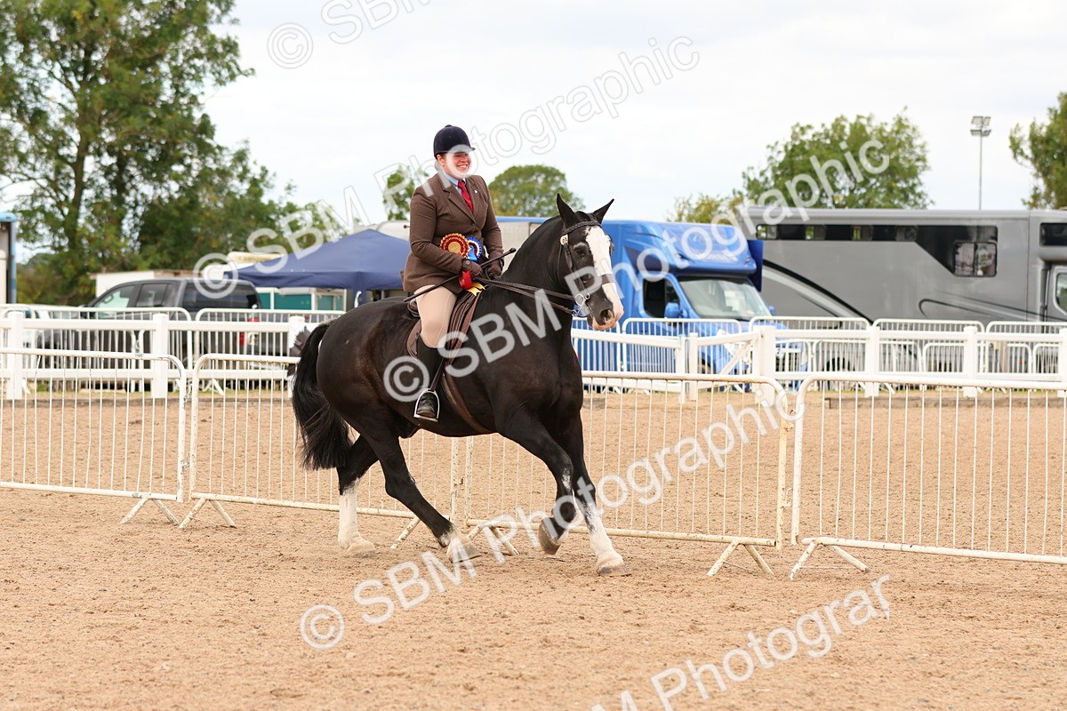SBM_15622 - Class 214 - Ridden Show Cob